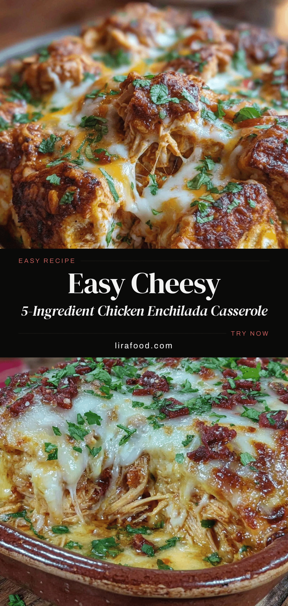 chicken enchilada casserole recipe