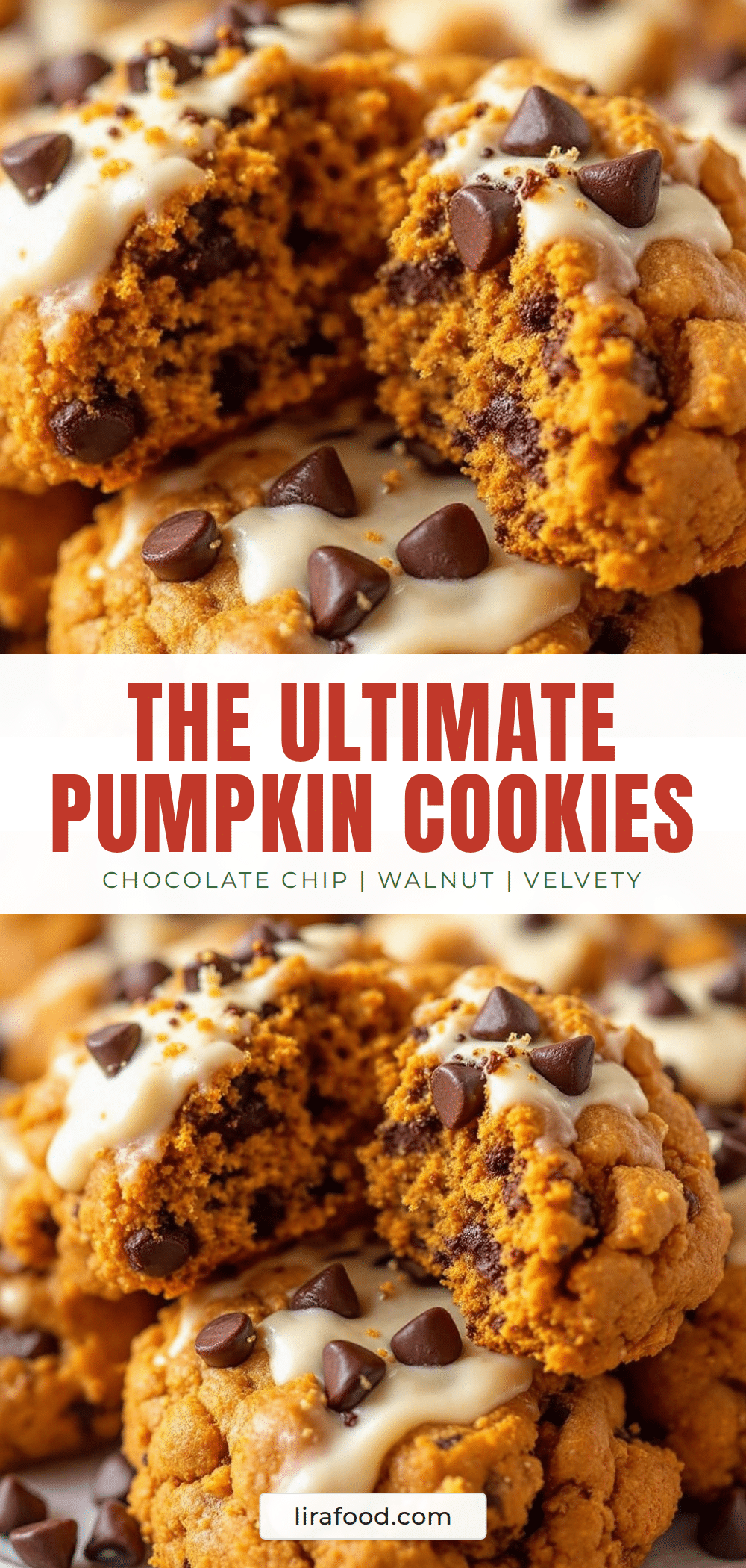 pumpkin chocolate chip cookies recipe
