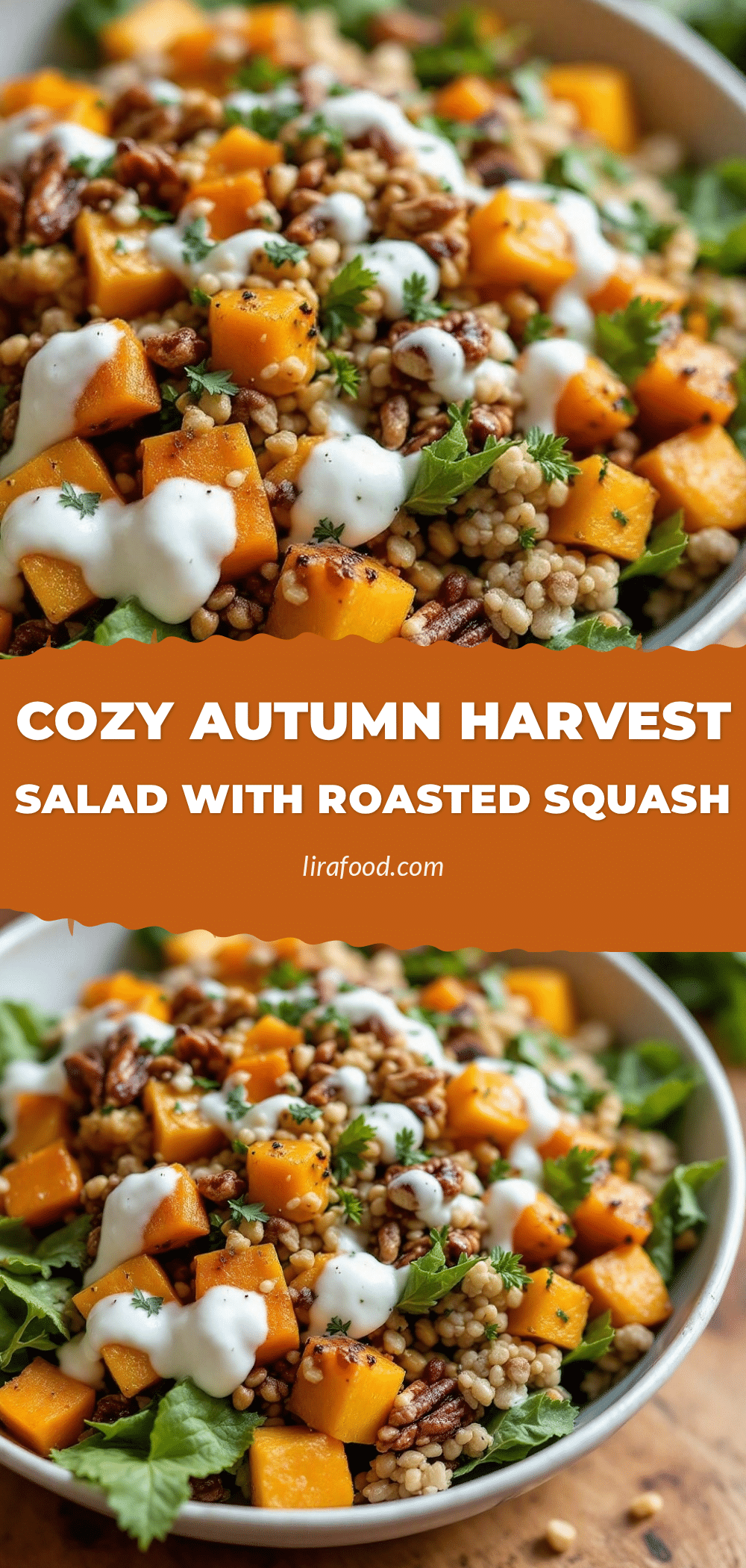 cozy autumn harvest salad with roasted squash recipe