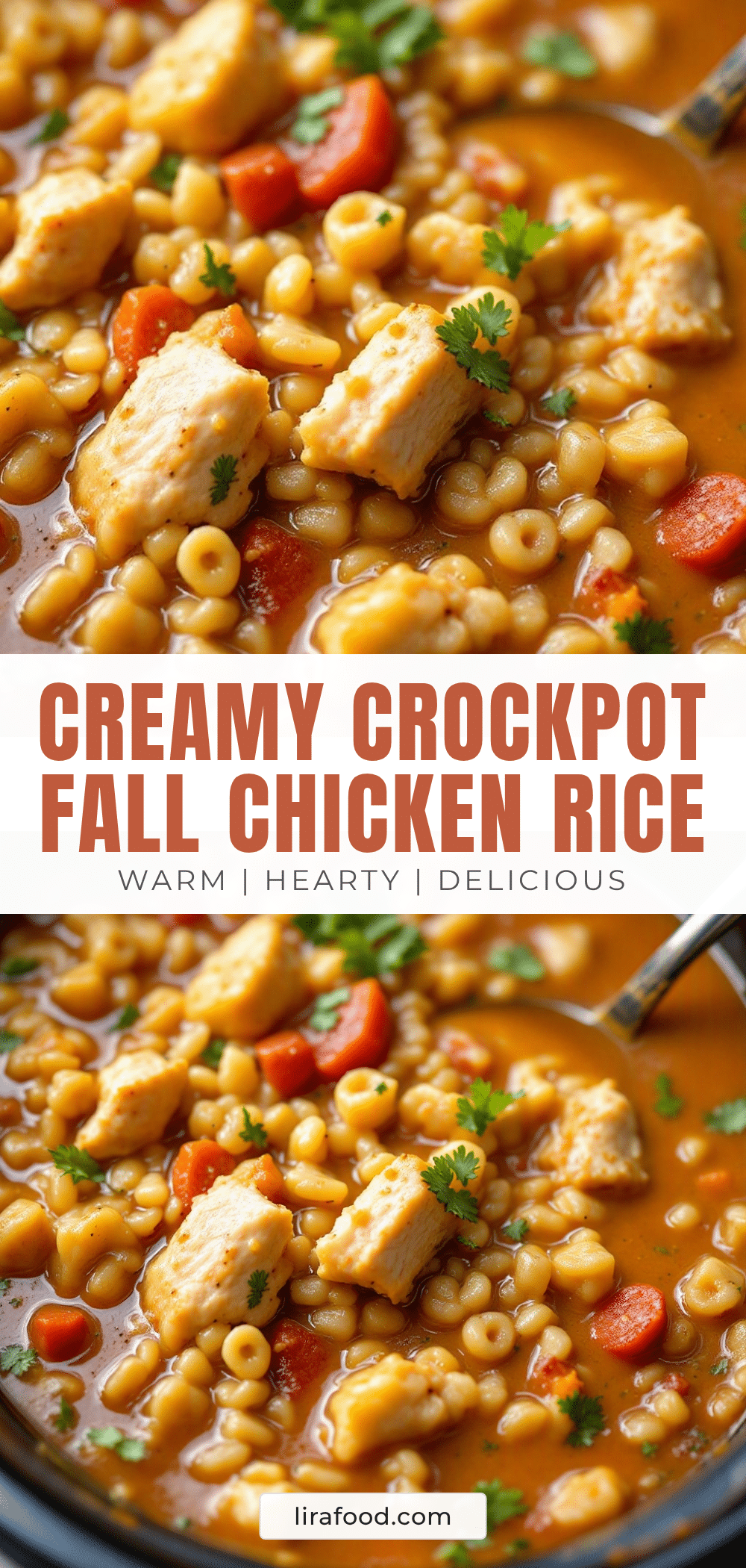 crockpot chicken and wild rice soup recipe
