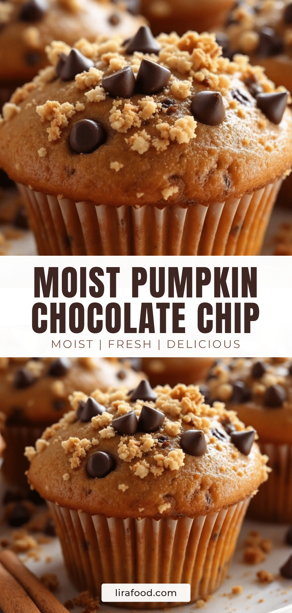 moist pumpkin chocolate chip muffins recipe