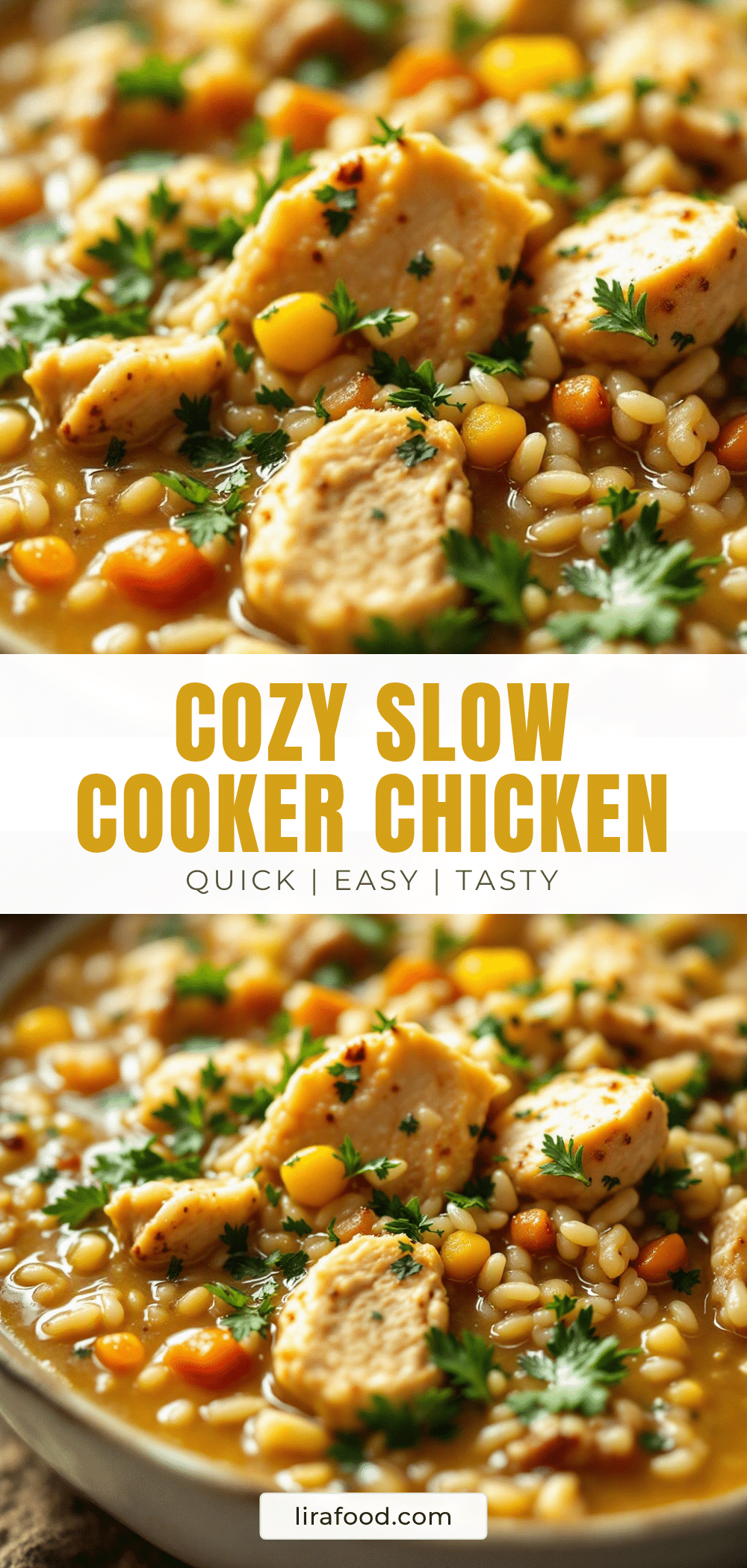 slow cooker chicken and wild rice soup recipe