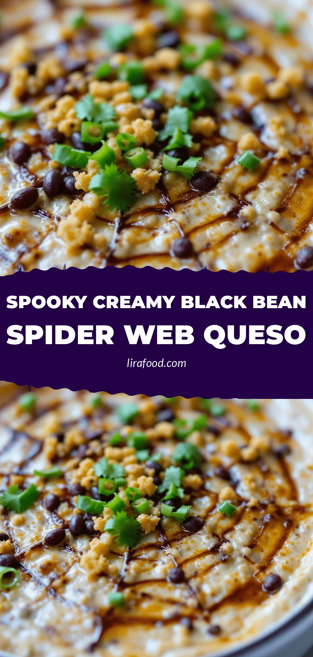 Spooky Creamy Black Bean Spider Web Queso Dip recipe